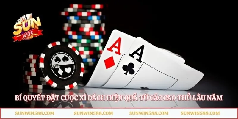 Bí quyết đặt cược xì dách hiệu quả từ các cao thủ lâu năm 