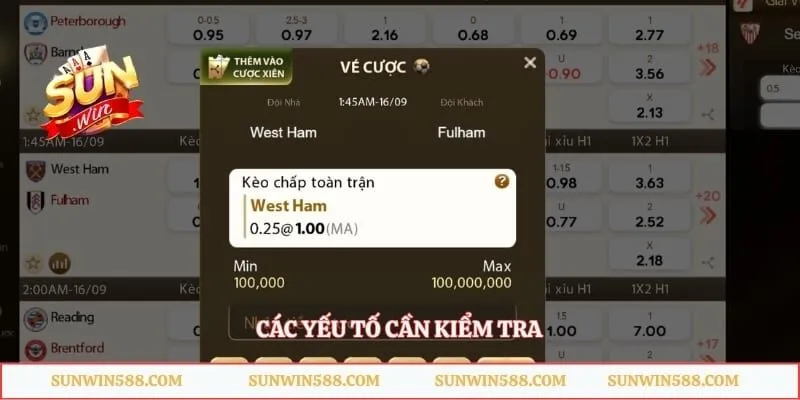 Cá Cược Bóng Đá Sunwin – Tổng Hợp Thông Tin Bóng Đá 5 Các yếu tố cần kiểm tra