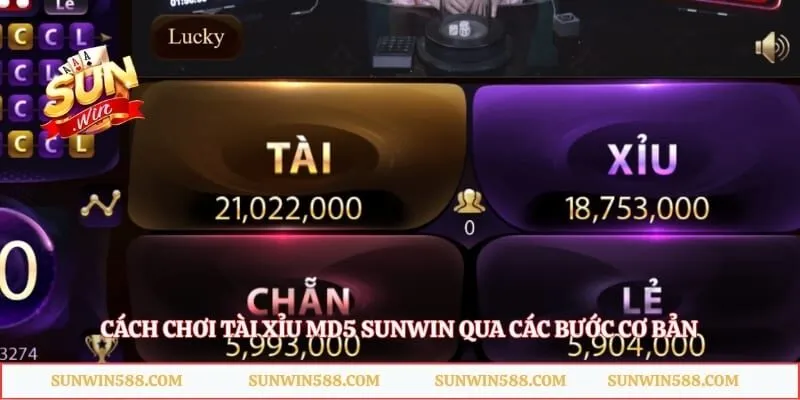 Cách chơi tài xỉu MD5 Sunwin qua các bước cơ bản