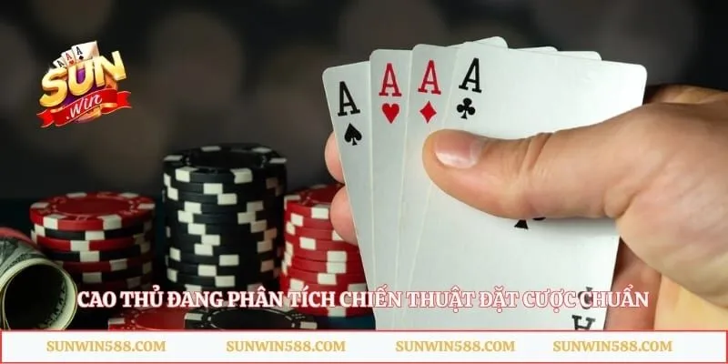 Cao thủ đang phân tích chiến thuật đặt cược chuẩn