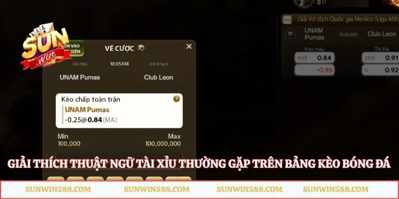 Giải thích thuật ngữ tài xỉu thường gặp trên bảng kèo bóng đá