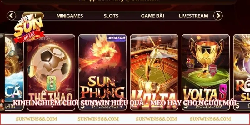 Kinh Nghiệm Chơi Sunwin Hiệu Quả - Mẹo Hay Cho Người Mới