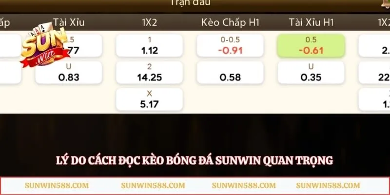 Lý do cách đọc kèo bóng đá Sunwin quan trọng
