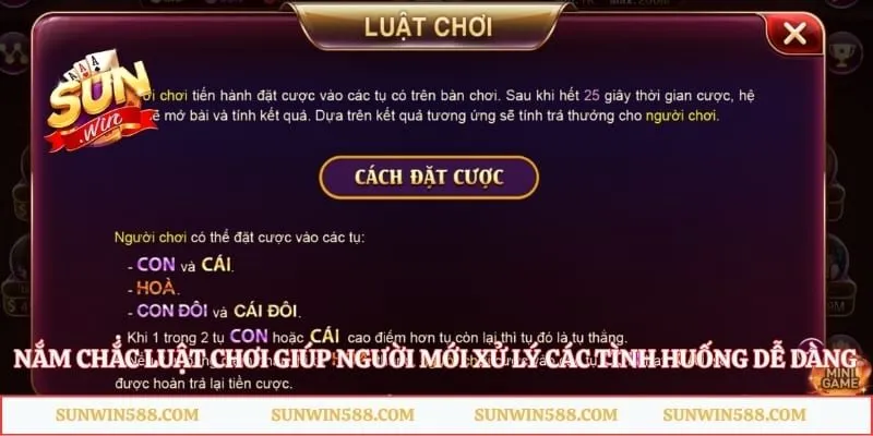 Nắm chắc luật chơi giúp người mới xử lý các tình huống dễ dàng