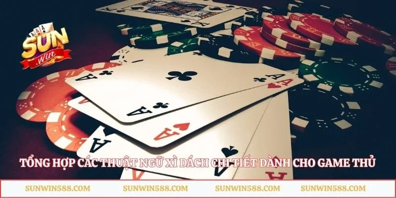 Tổng hợp các thuật ngữ xì dách chi tiết dành cho game thủ 